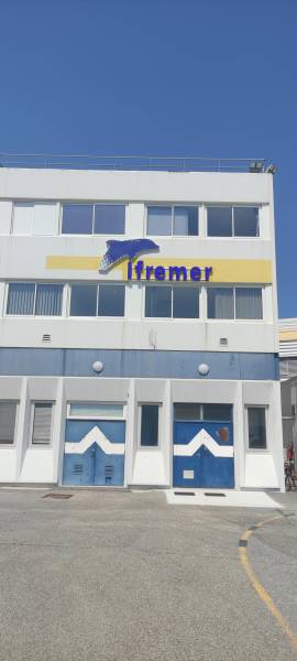 Enseigne lumineuse IFREMER réalisée par DECOGRAPH à La Seyne-sur-Mer – Zone portuaire de Brégaillon.